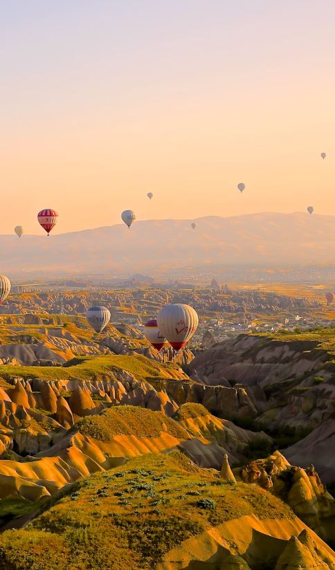 Bridging the Agricultural Chain